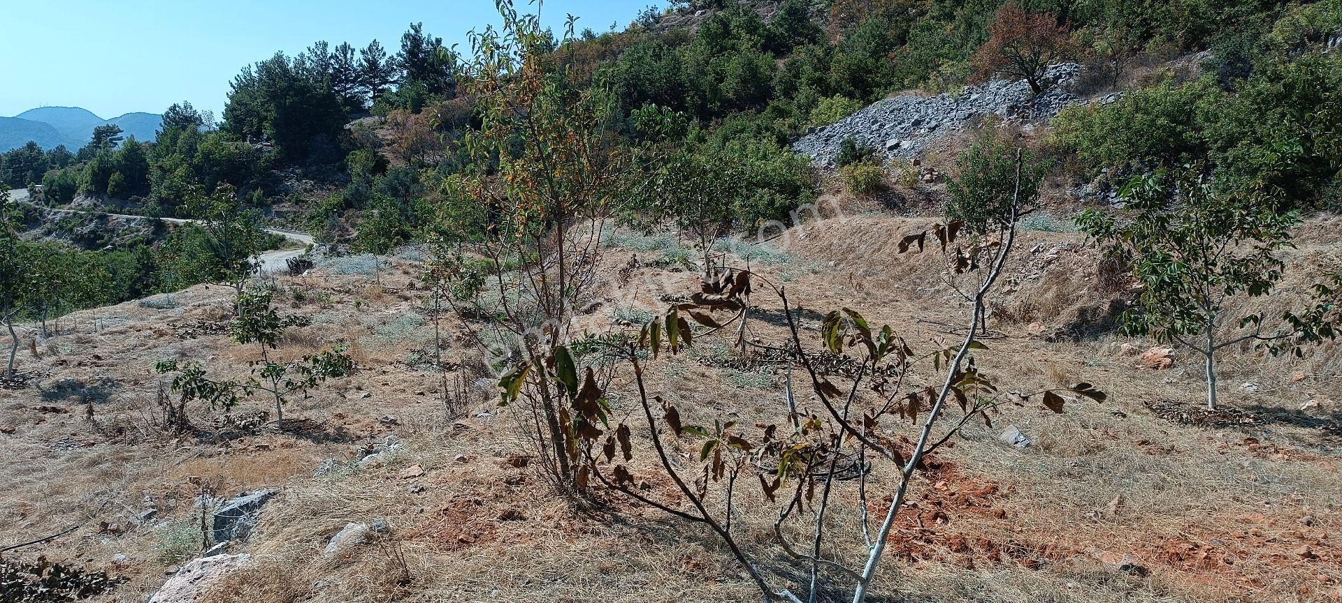 Bademağacı Köyünde - Görsel 11