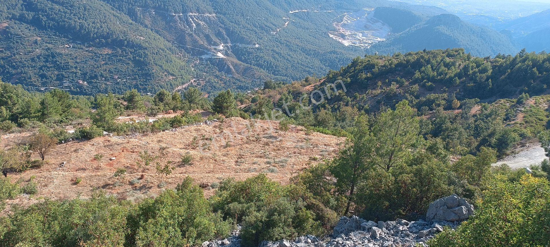 Bademağacı Köyünde - Görsel 28