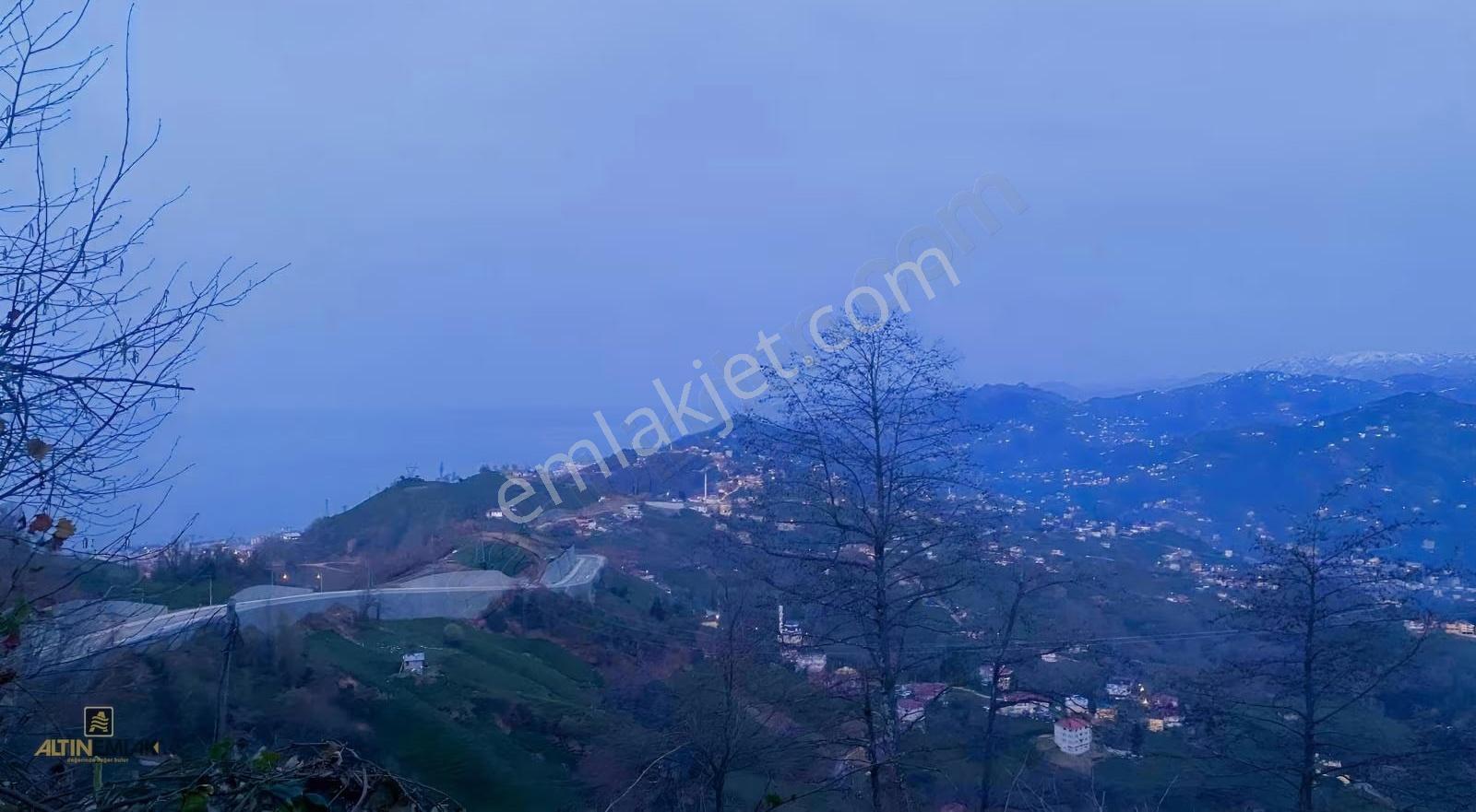 Altın Emlak Rize Isırlık Tabiat Parkı Yanı Eşsiz Satılık Arazi - Görsel 5