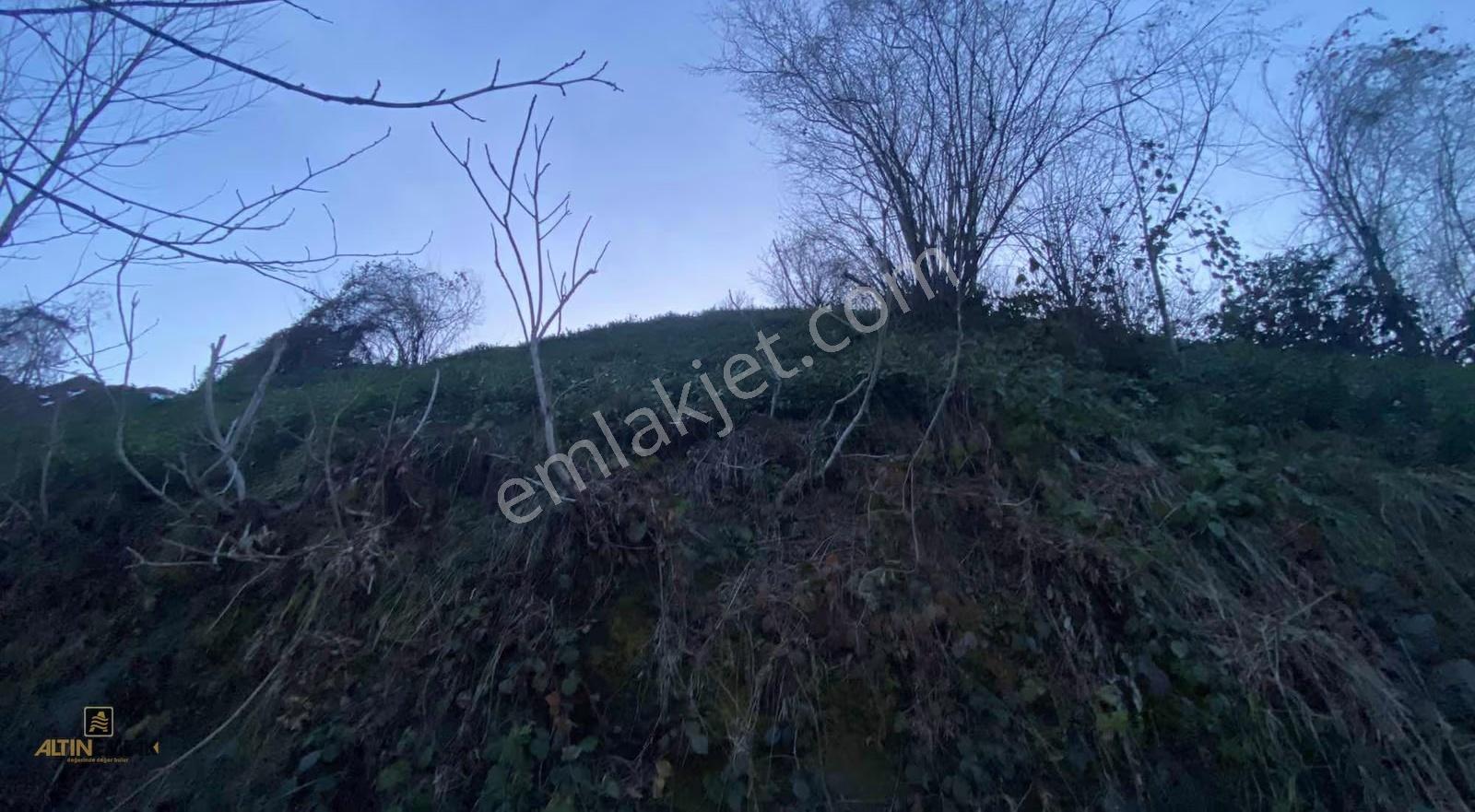 Altın Emlak Rize Isırlık Tabiat Parkı Yanı Eşsiz Satılık Arazi - Görsel 6