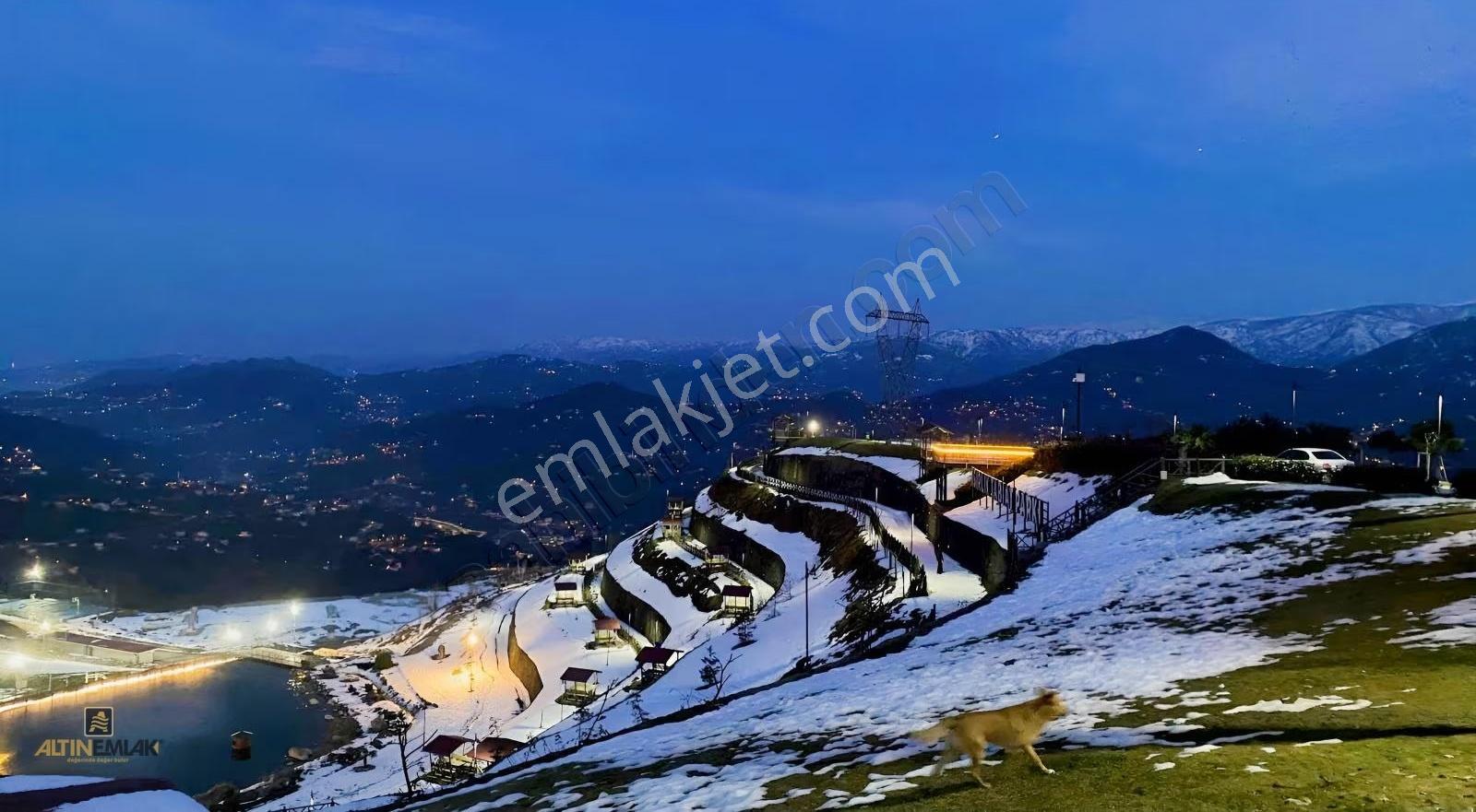 Altın Emlak Rize Isırlık Tabiat Parkı Yanı Eşsiz Satılık Arazi - Görsel 4