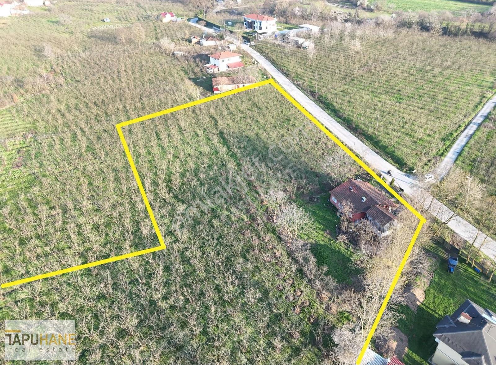 Kazimiyede Cadde Üzerinde 15000m2 İçerisinde Ev Olan Fındıklık - Görsel 4