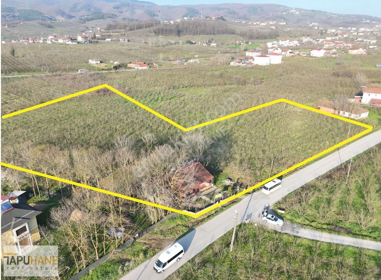 Kazimiyede Cadde Üzerinde 15000m2 İçerisinde Ev Olan Fındıklık - Görsel 2