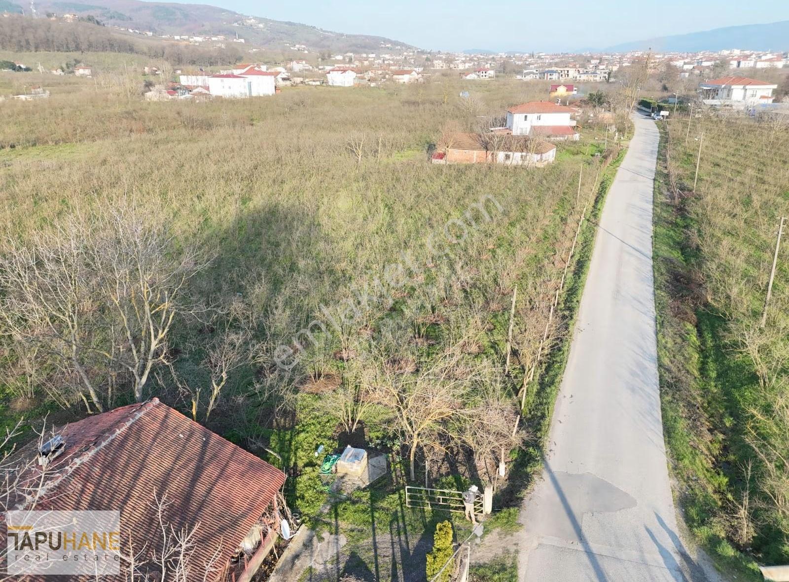 Kazimiyede Cadde Üzerinde 15000m2 İçerisinde Ev Olan Fındıklık - Görsel 3