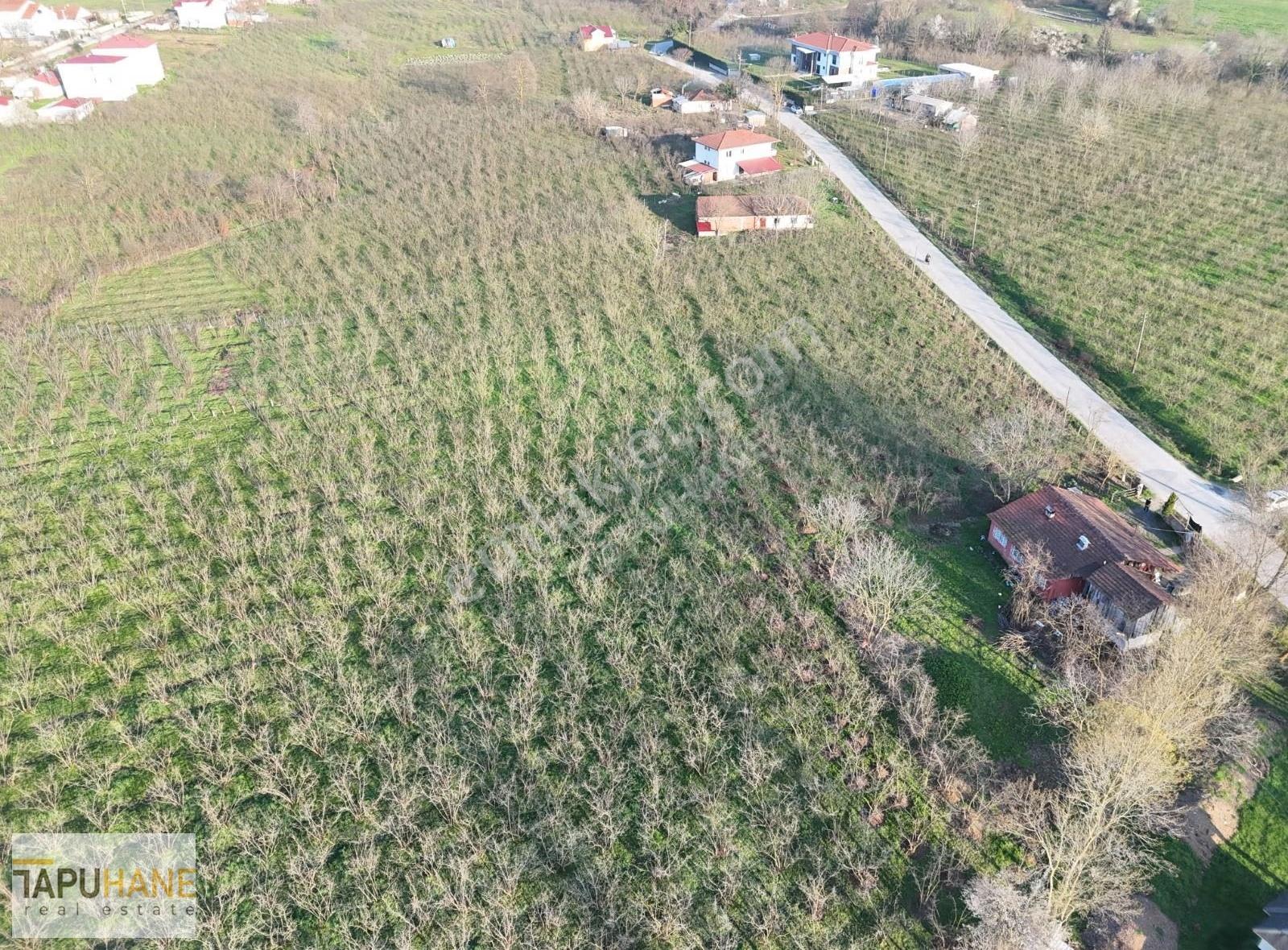 Kazimiyede Cadde Üzerinde 15000m2 İçerisinde Ev Olan Fındıklık - Görsel 9