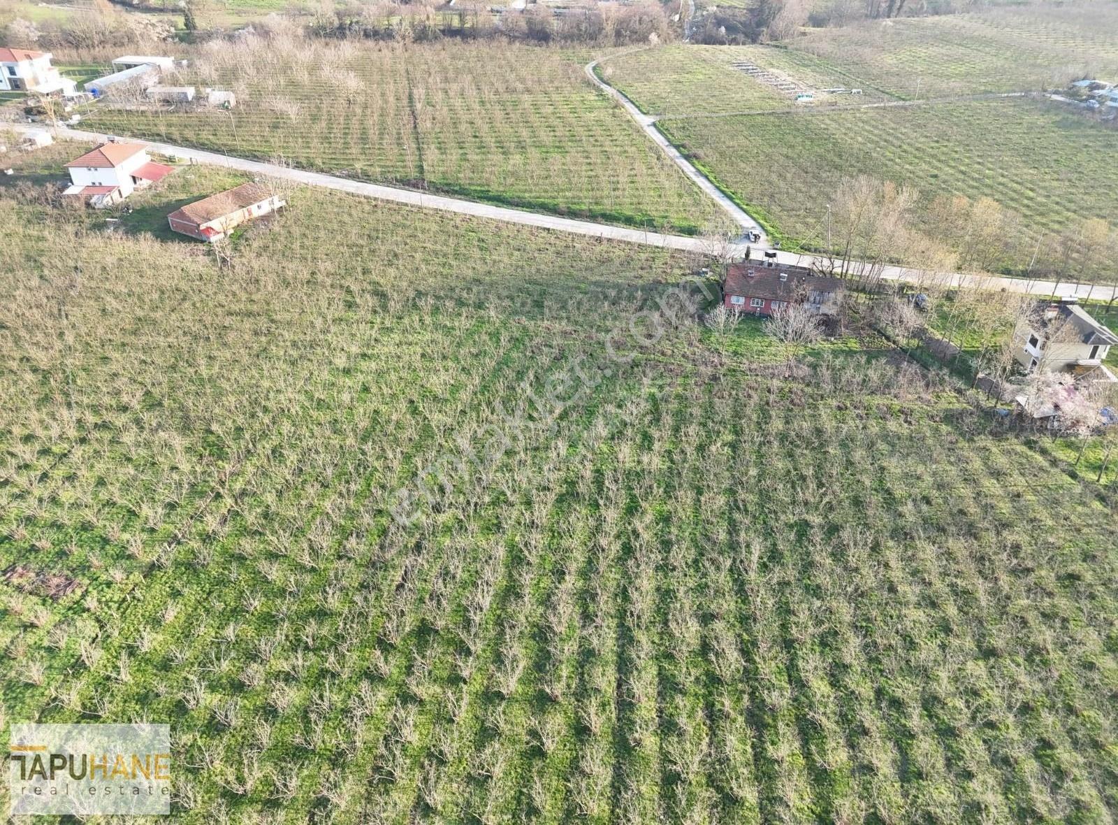 Kazimiyede Cadde Üzerinde 15000m2 İçerisinde Ev Olan Fındıklık - Görsel 5