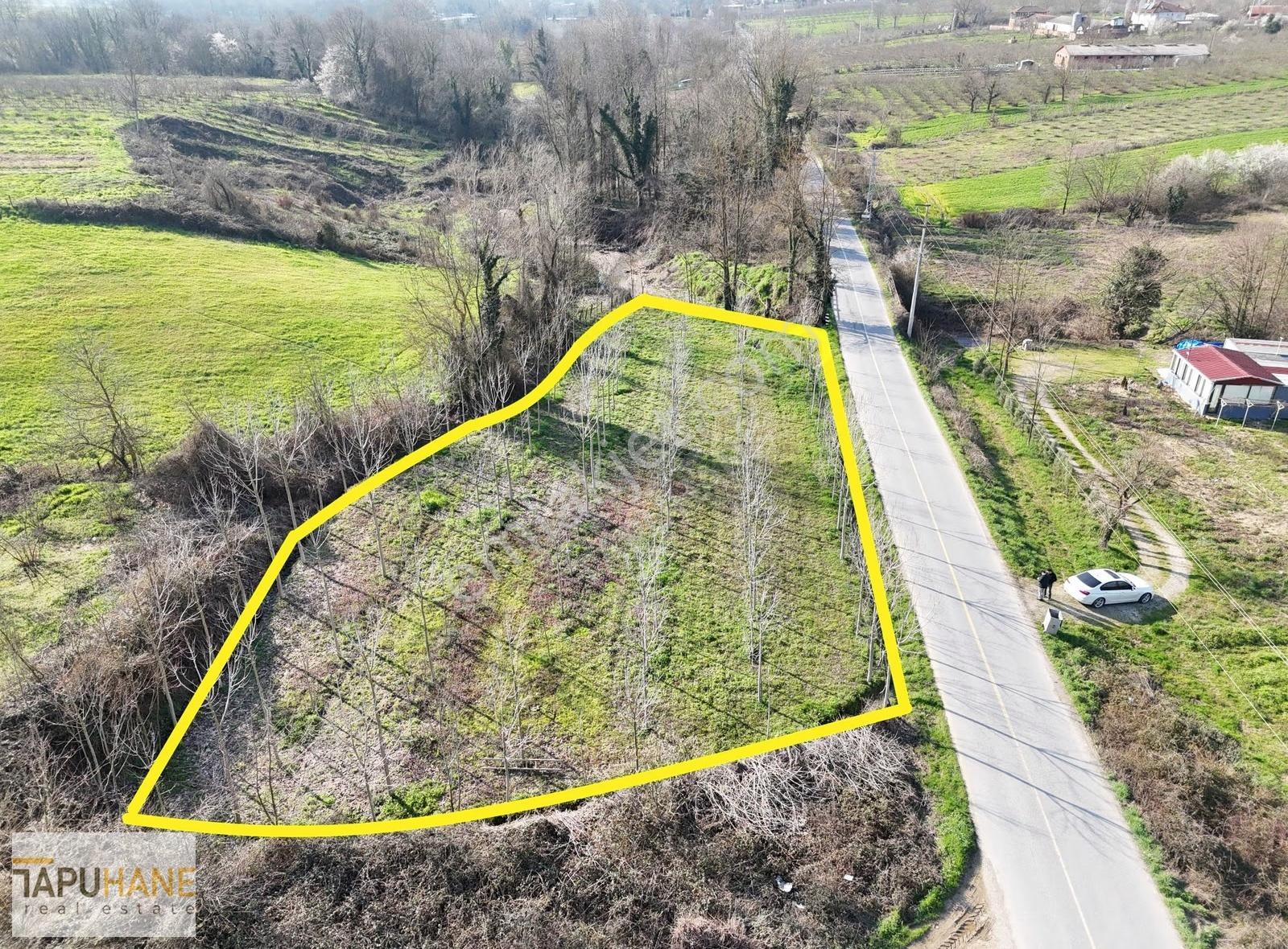 Tapuhane'den Hallaç Köyünde 2000 M2 Asfalt Cepheli Satılık Arsa - Görsel 2