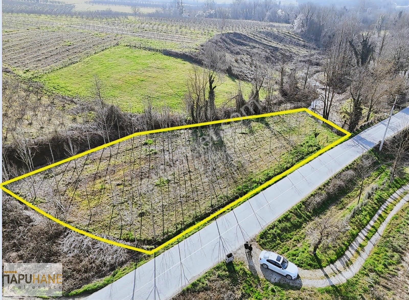 Tapuhane'den Hallaç Köyünde 2000 M2 Asfalt Cepheli Satılık Arsa - Görsel 30
