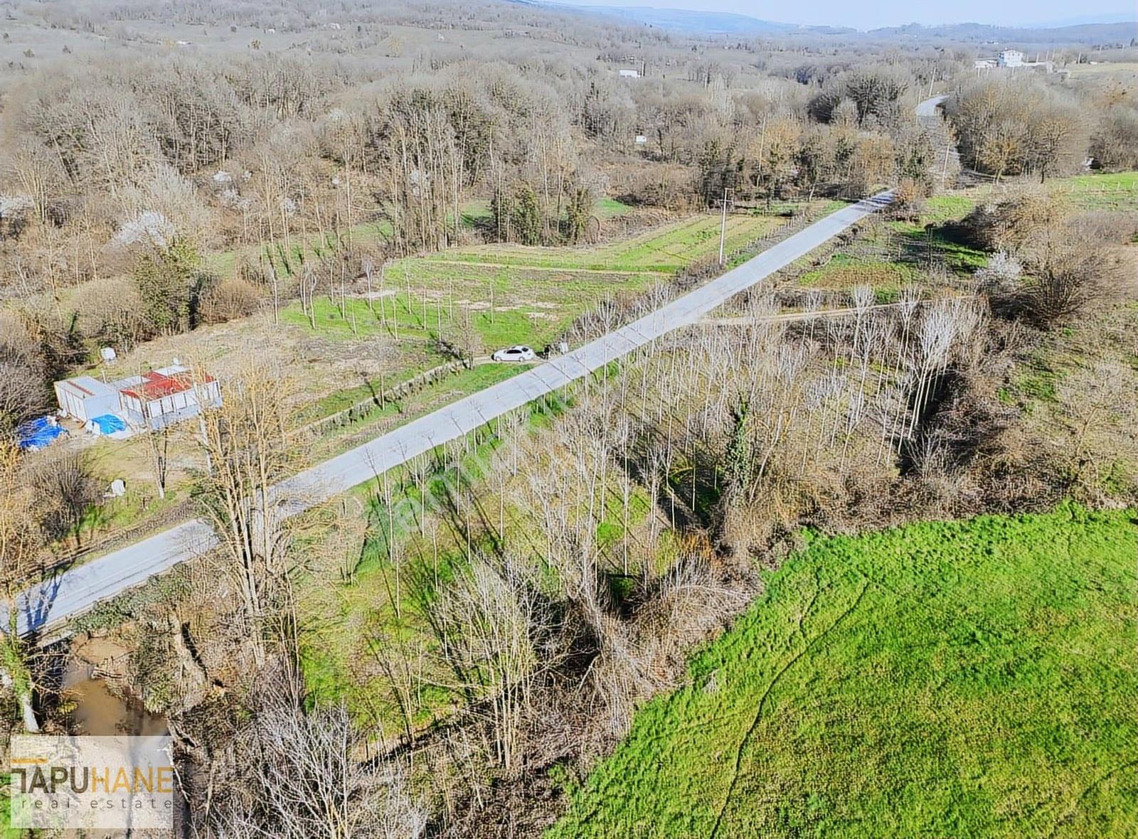 Tapuhane'den Hallaç Köyünde 2000 M2 Asfalt Cepheli Satılık Arsa - Görsel 11