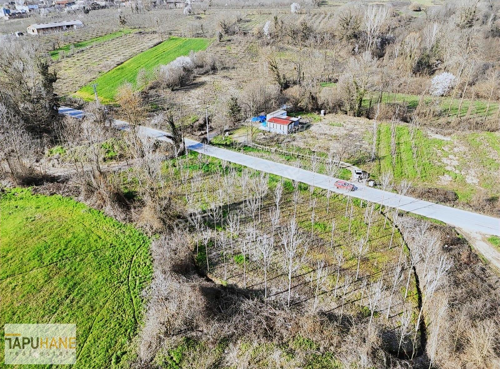Tapuhane'den Hallaç Köyünde 2000 M2 Asfalt Cepheli Satılık Arsa - Görsel 29