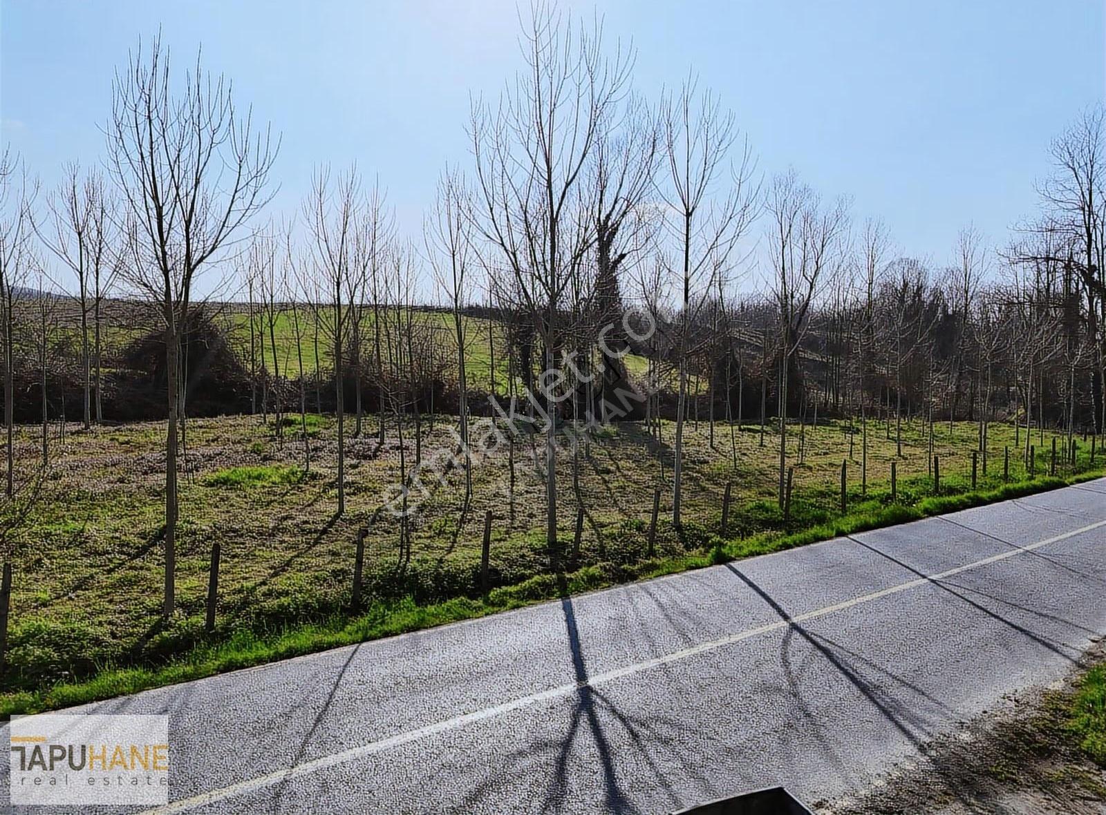 Tapuhane'den Hallaç Köyünde 2000 M2 Asfalt Cepheli Satılık Arsa - Görsel 34