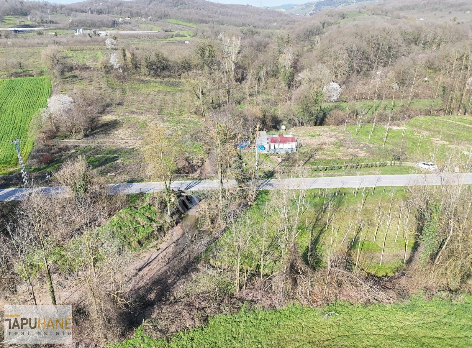 Tapuhane'den Hallaç Köyünde 2000 M2 Asfalt Cepheli Satılık Arsa - Görsel 12