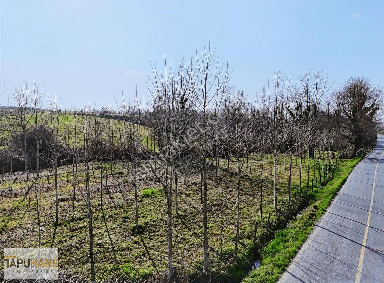 Tapuhane'den Hallaç Köyünde 2000 M2 Asfalt Cepheli Satılık Arsa - Görsel 14