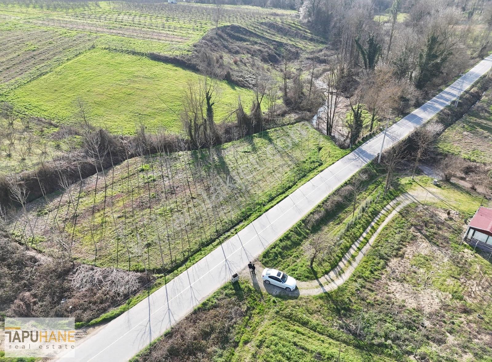 Tapuhane'den Hallaç Köyünde 2000 M2 Asfalt Cepheli Satılık Arsa - Görsel 26