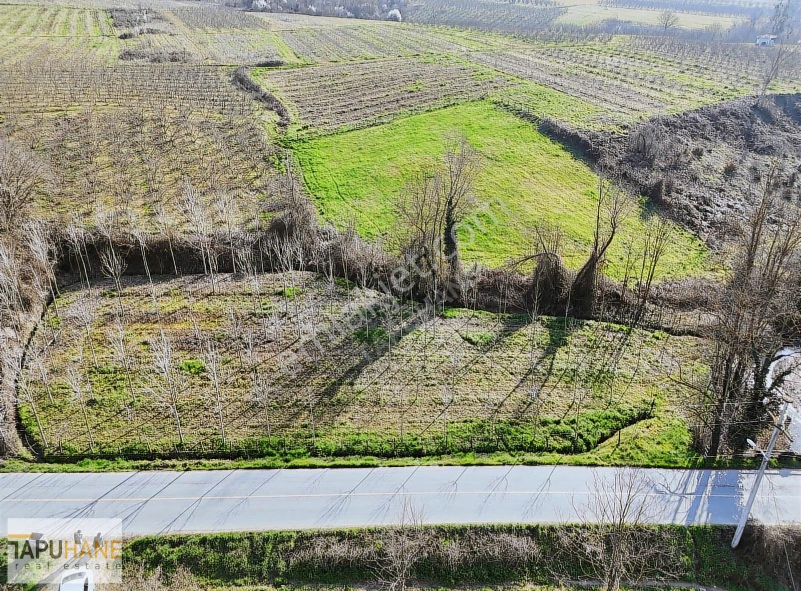 Tapuhane'den Hallaç Köyünde 2000 M2 Asfalt Cepheli Satılık Arsa - Görsel 35