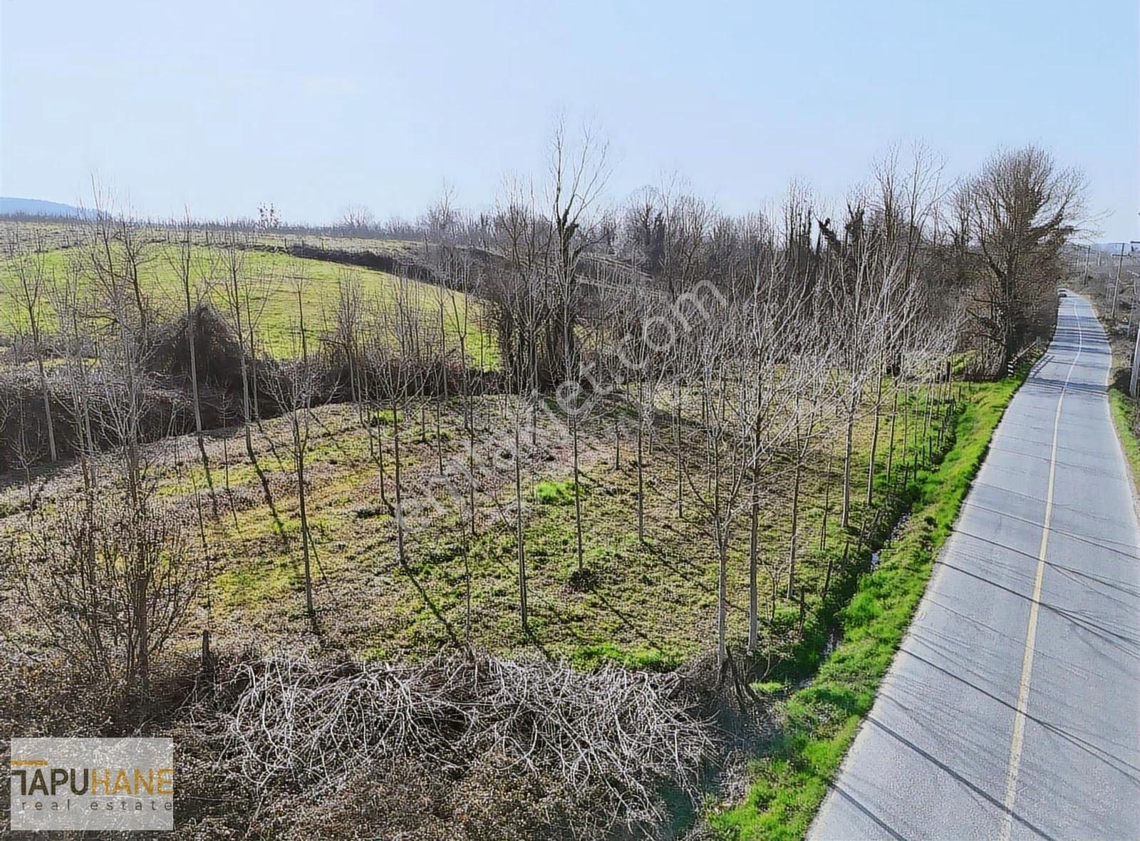 Tapuhane'den Hallaç Köyünde 2000 M2 Asfalt Cepheli Satılık Arsa - Görsel 5