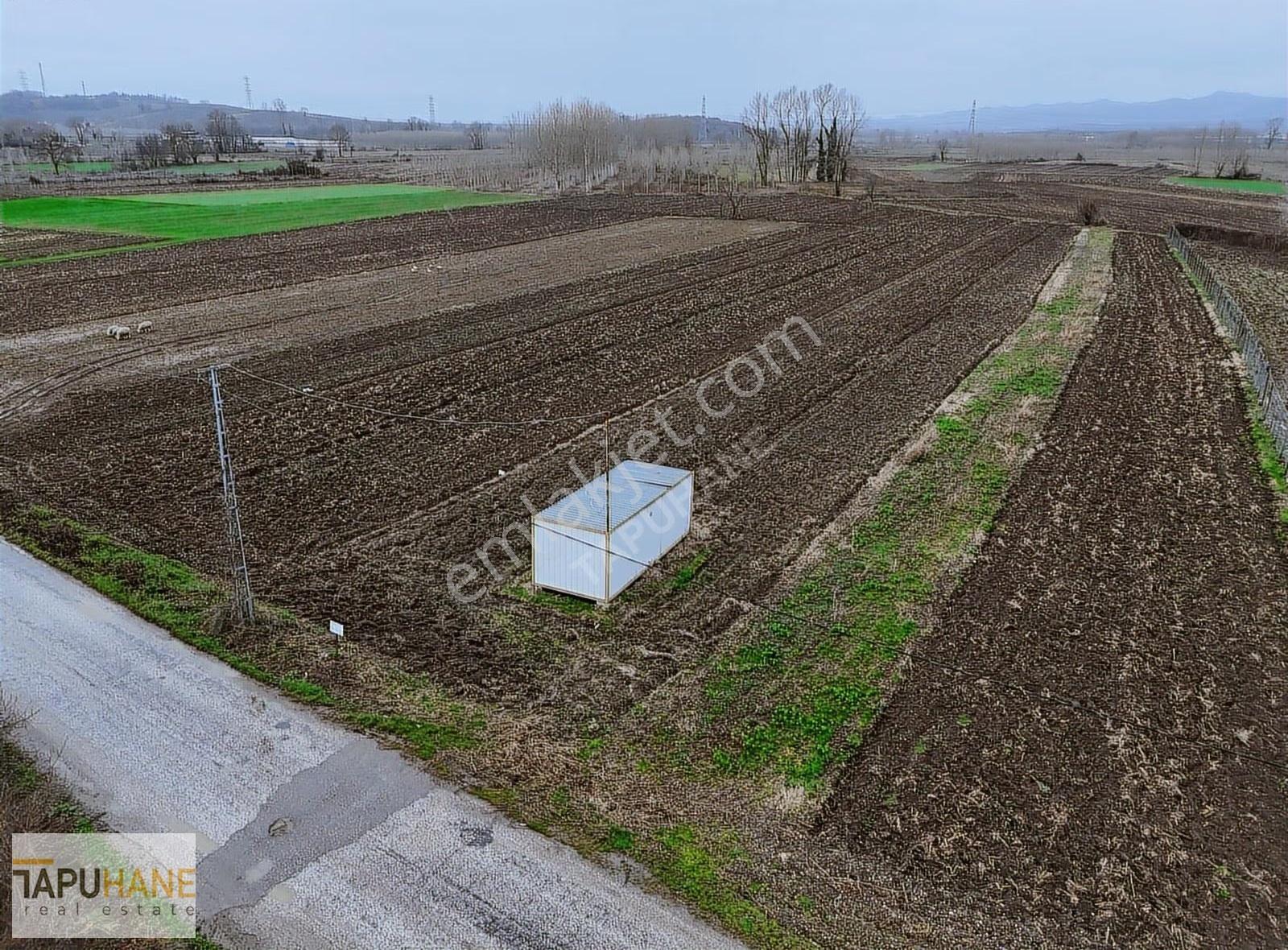 Tapuhane'den A. Çalıca Köyünde 2598 M2 Arsa İçinde Konteyner - Görsel 12