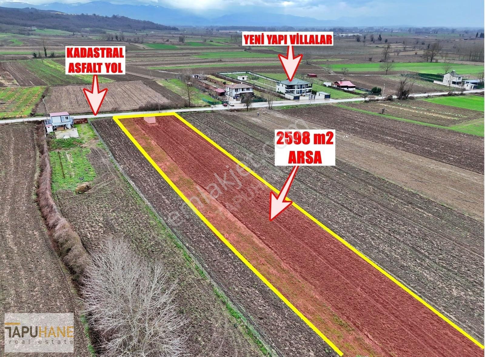 Tapuhane'den A. Çalıca Köyünde 2598 M2 Arsa İçinde Konteyner - Görsel 19