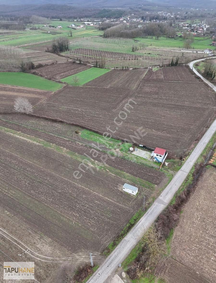 Tapuhane'den A. Çalıca Köyünde 2598 M2 Arsa İçinde Konteyner - Görsel 20