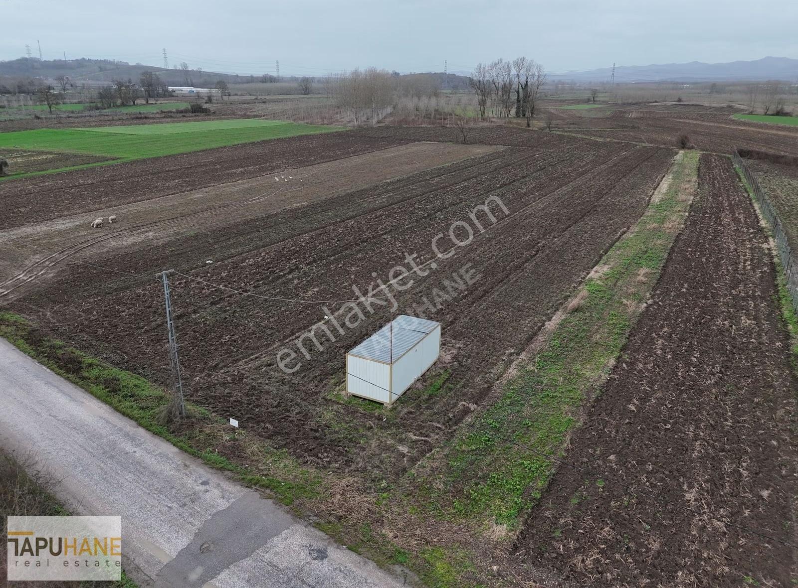Tapuhane'den A. Çalıca Köyünde 2598 M2 Arsa İçinde Konteyner - Görsel 14