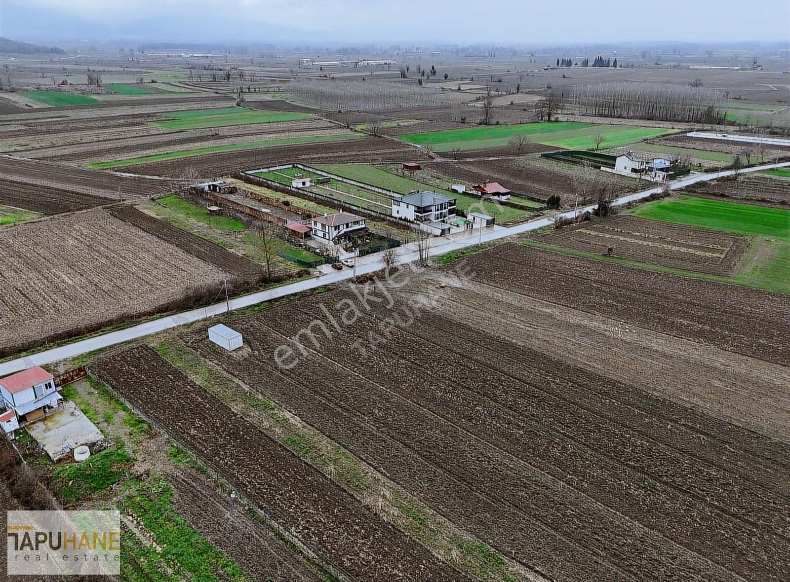 Tapuhane'den A. Çalıca Köyünde 2598 M2 Arsa İçinde Konteyner - Görsel 11