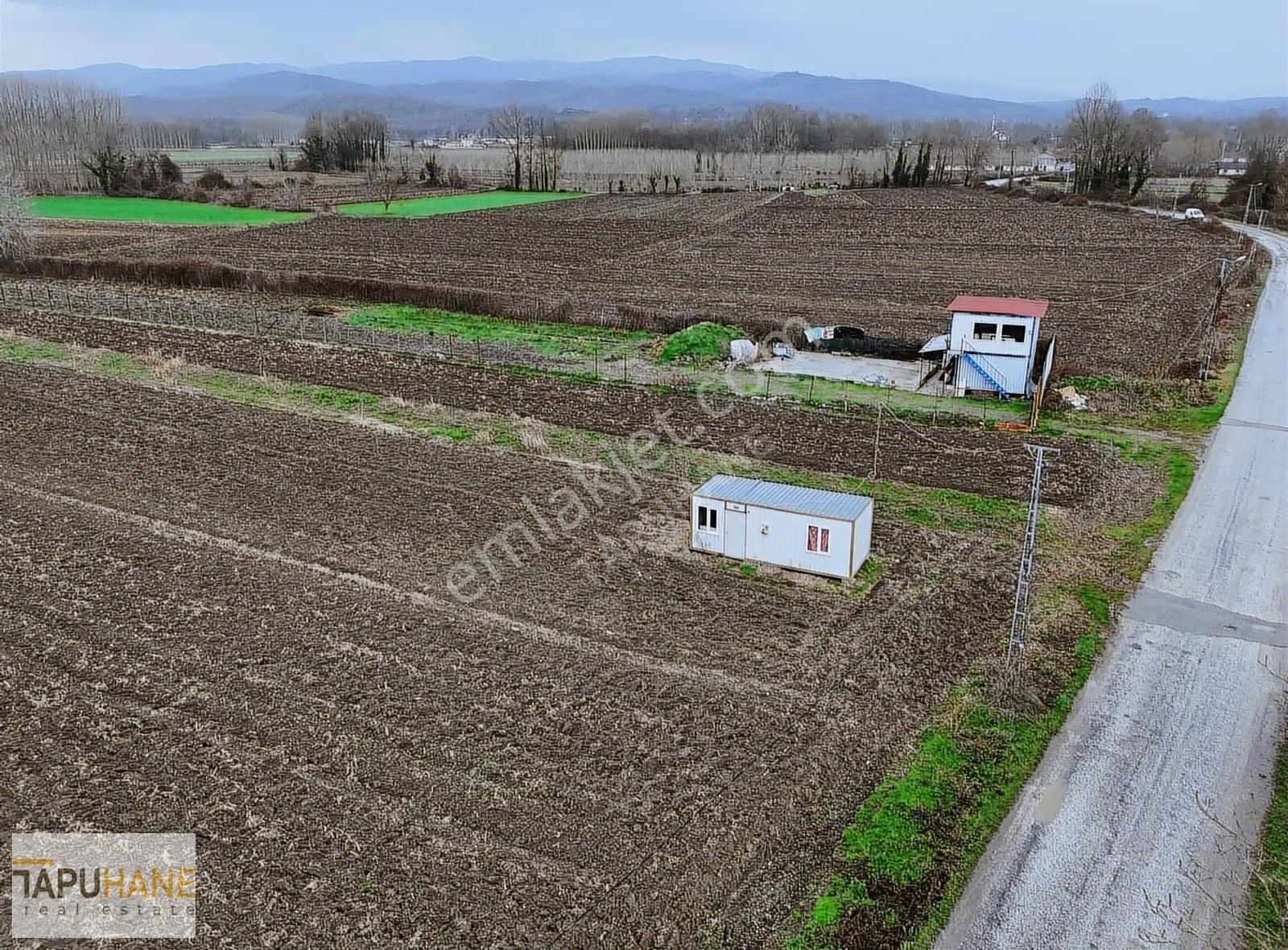Tapuhane'den A. Çalıca Köyünde 2598 M2 Arsa İçinde Konteyner - Görsel 6