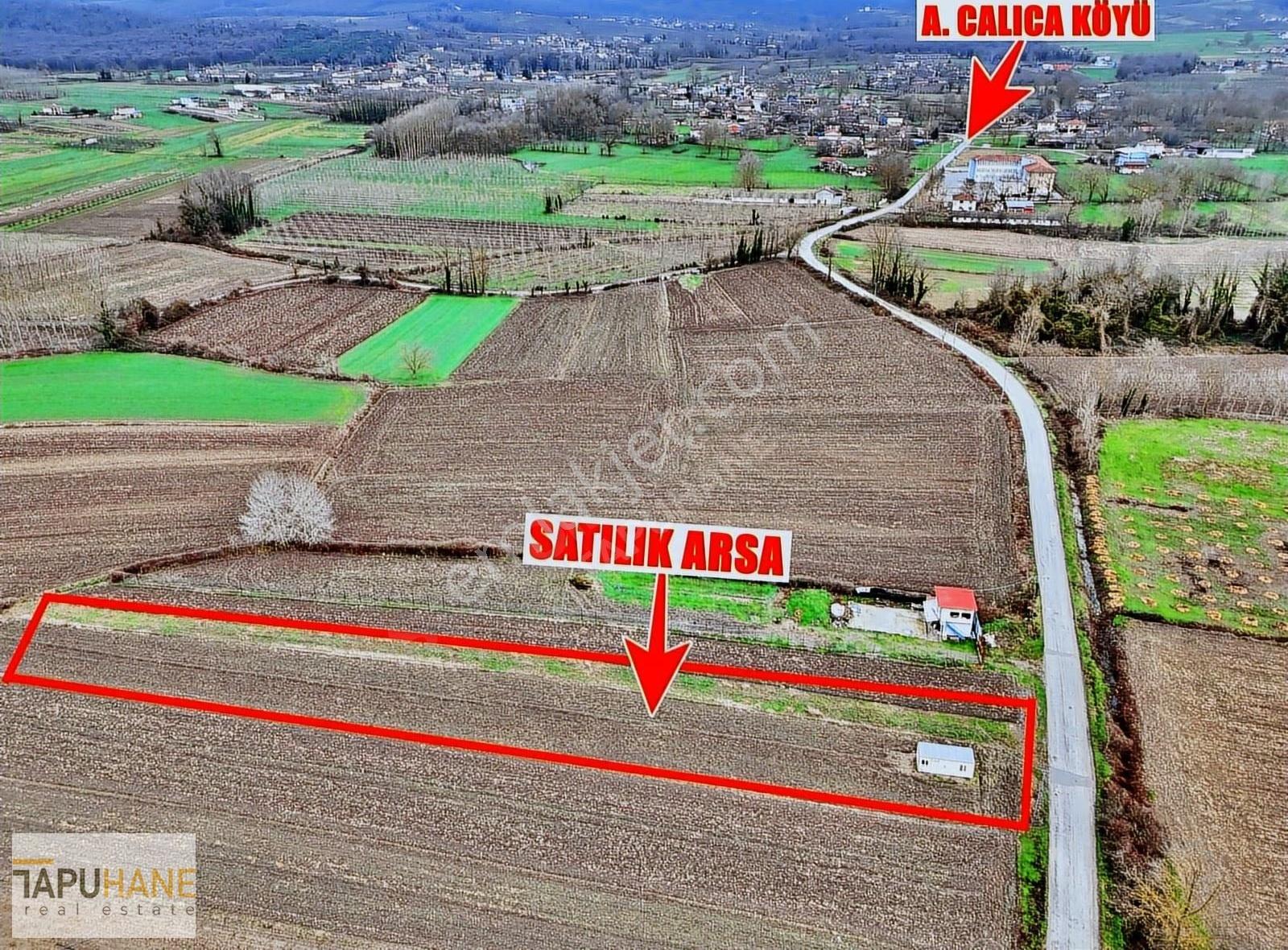 Tapuhane'den A. Çalıca Köyünde 2598 M2 Arsa İçinde Konteyner - Görsel 24