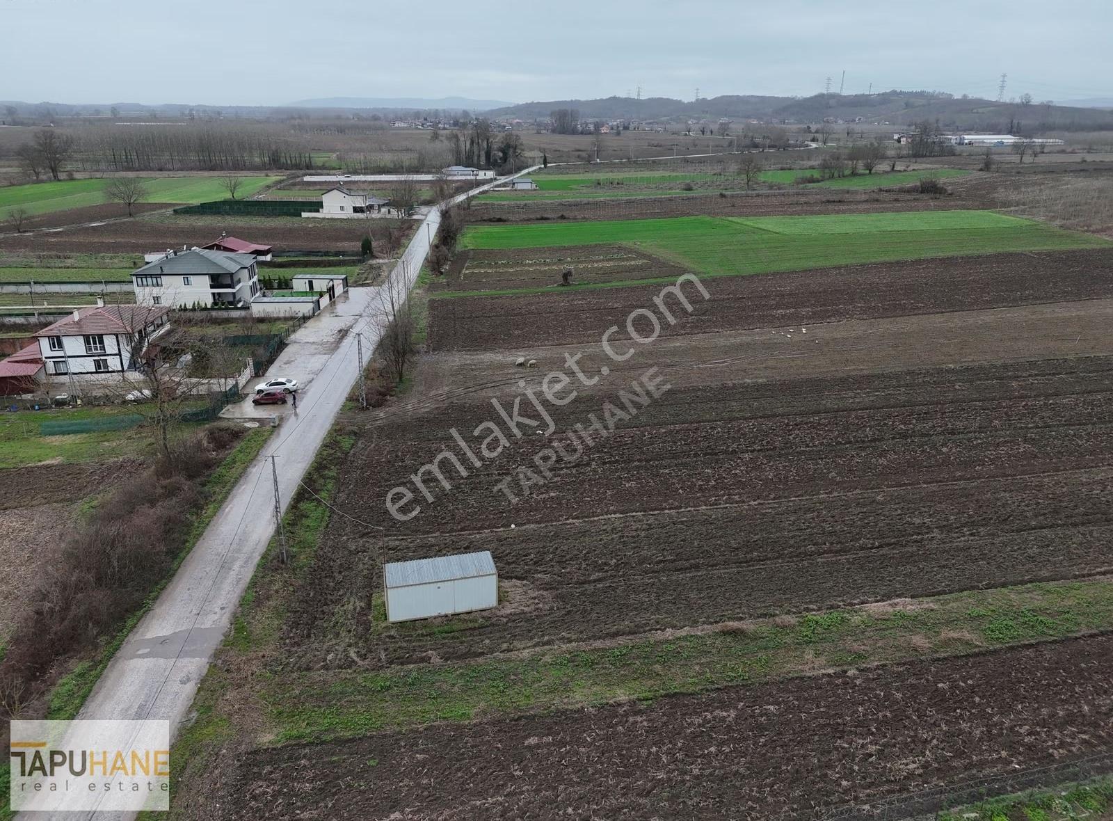 Tapuhane'den A. Çalıca Köyünde 2598 M2 Arsa İçinde Konteyner - Görsel 13