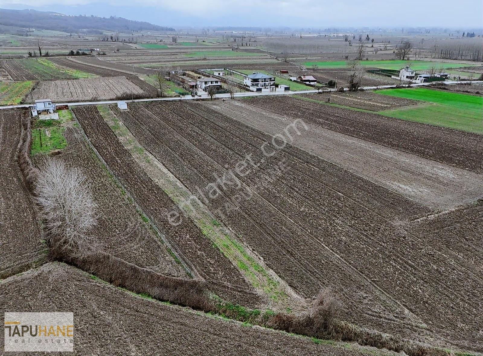 Tapuhane'den A. Çalıca Köyünde 2598 M2 Arsa İçinde Konteyner - Görsel 22