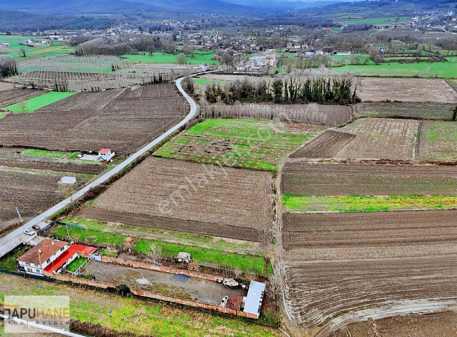 Tapuhane'den A. Çalıca Köyünde 1ooo M2 Satılık Arsa - Görsel 18