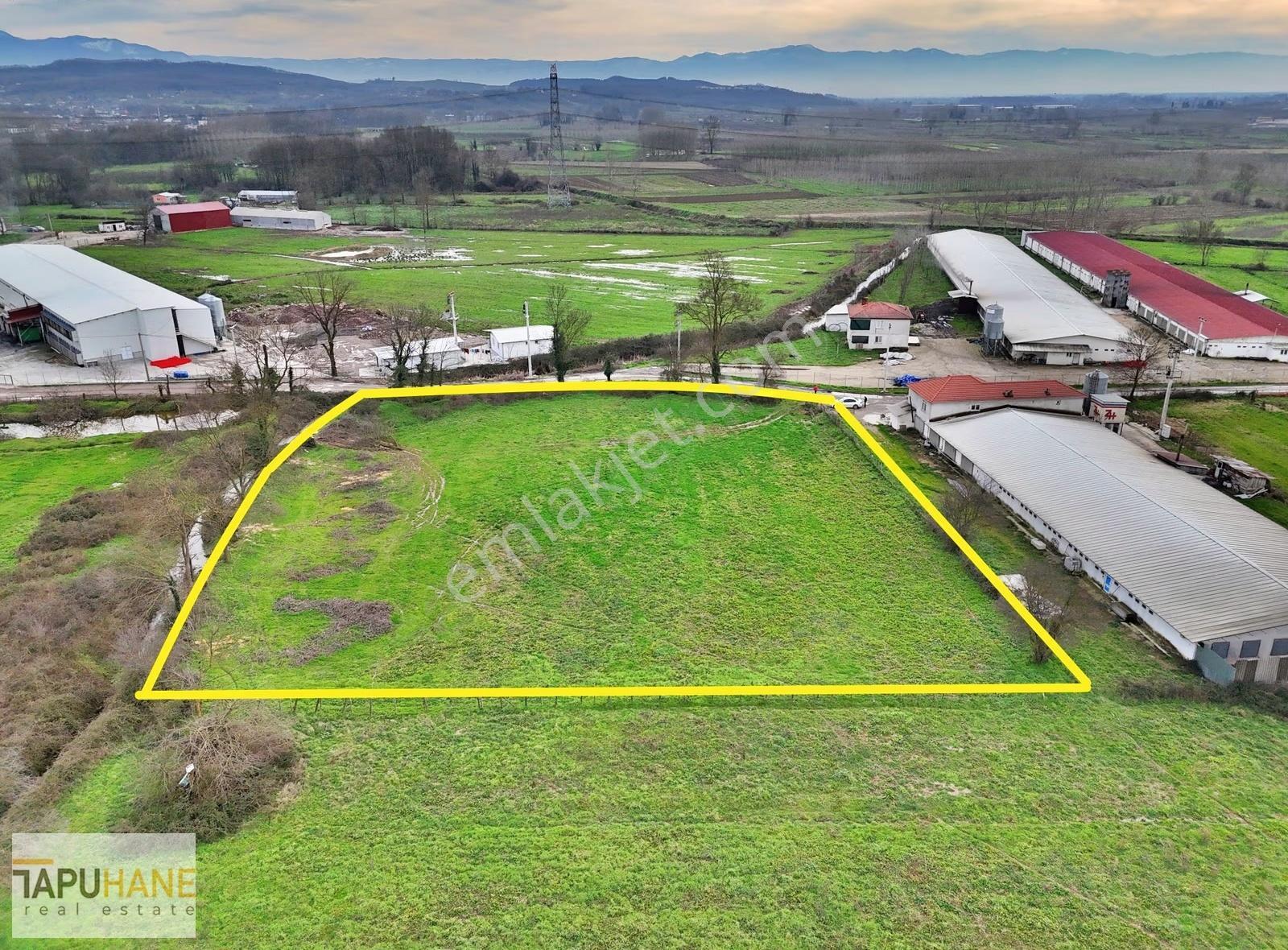 Tapuhane'den Sivritepede Satılık 5700 M2 Satılık Arsa - Görsel 2