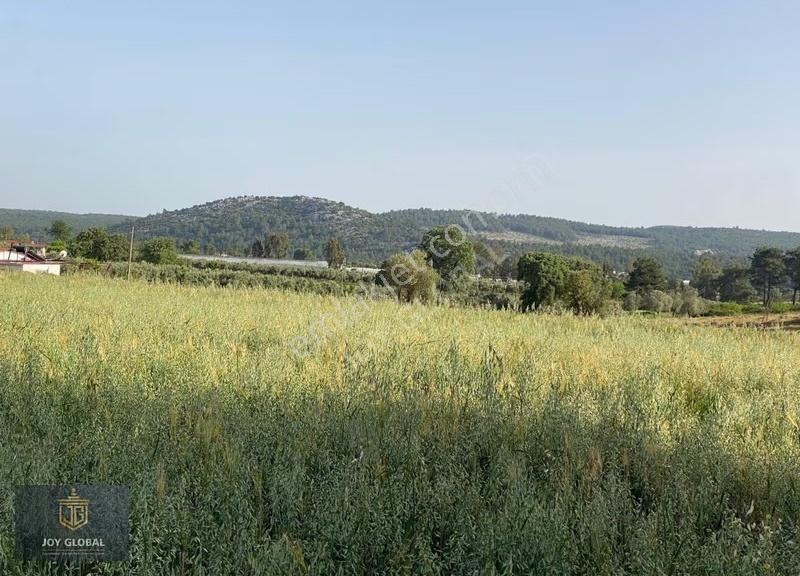 Ormancephe Harika Konumda 2862 M2 Tek Tapu Yol Su Elektrik Var - Görsel 2