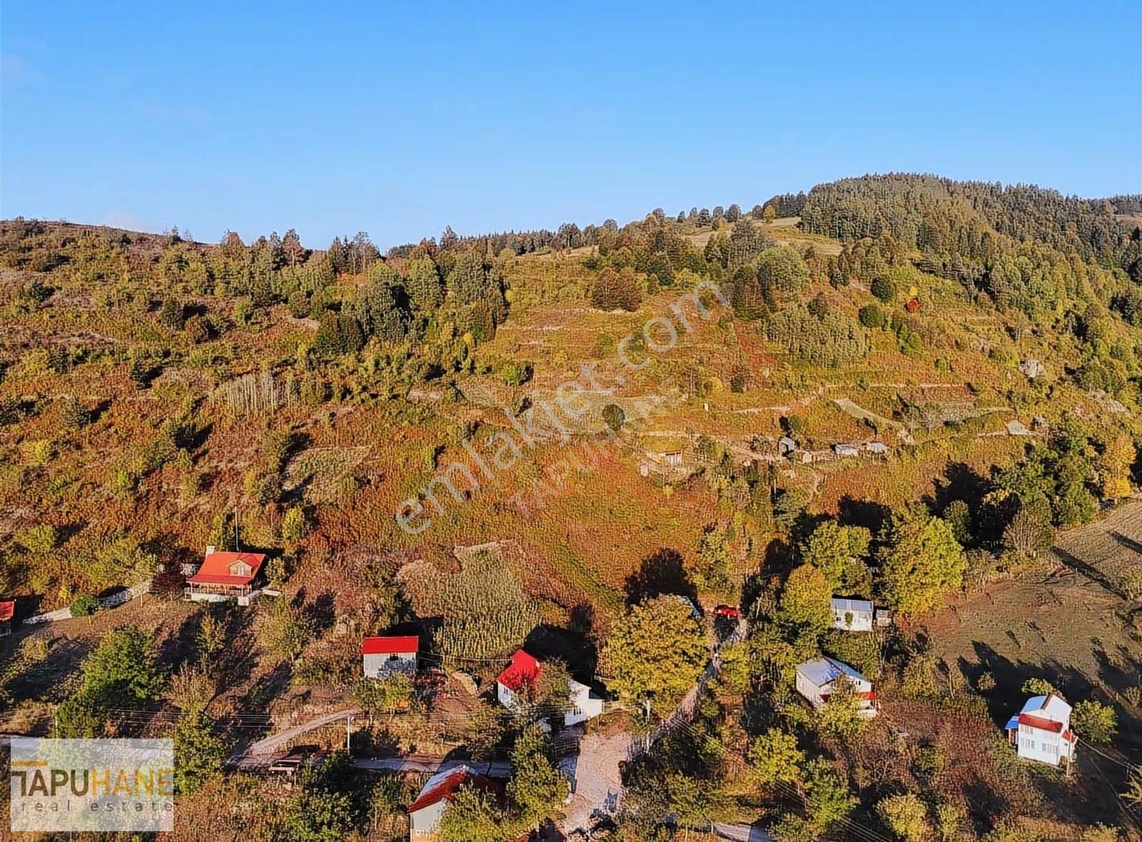 Tapuhaneden Doğanın Kalbinde Müthiş Manzaralı-imarlı Arsa - Görsel 3