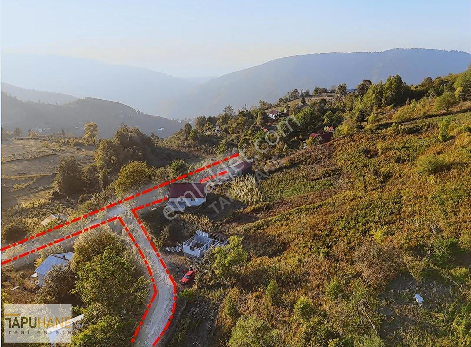 Tapuhaneden Doğanın Kalbinde Müthiş Manzaralı-imarlı Arsa - Görsel 2