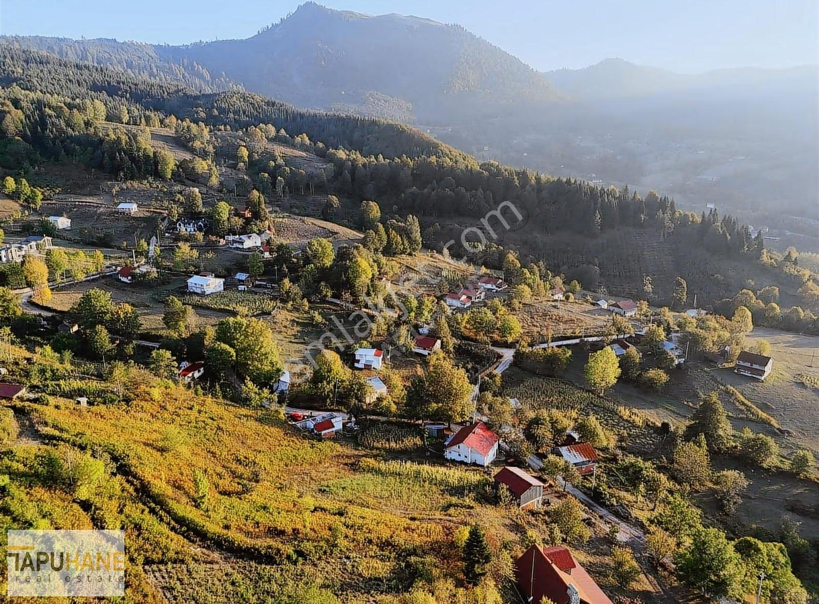 Tapuhaneden Doğanın Kalbinde Müthiş Manzaralı-imarlı Arsa - Görsel 6