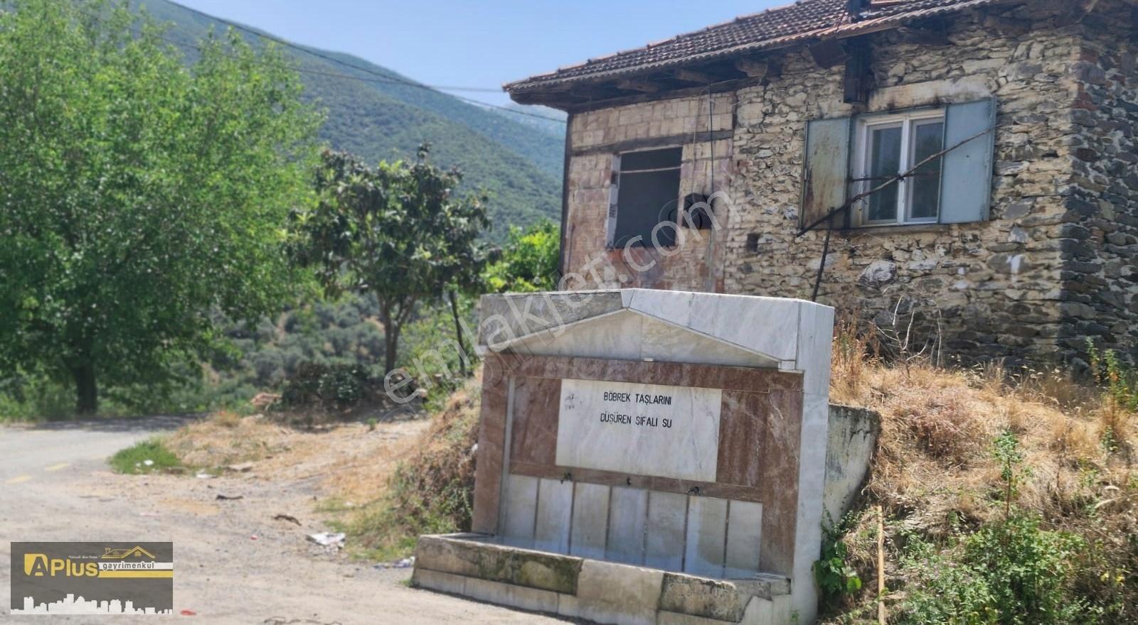 A Plus Gayrimenkulden Yenişehir Köyünde Satılık Zeytinlik