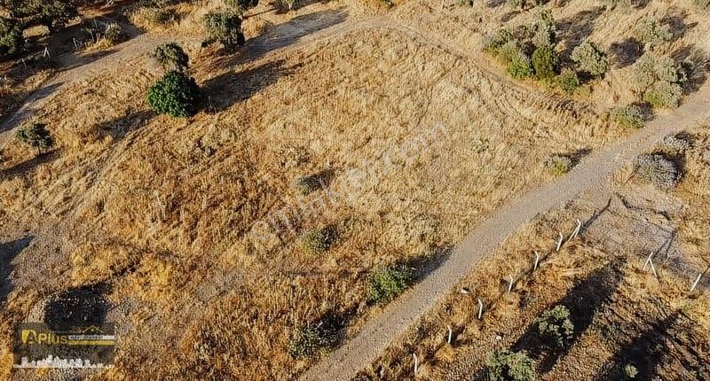 A Plus Gayrimenkulden Bayındır Buruncuk Köyünde Satılık Arsa - Görsel 5