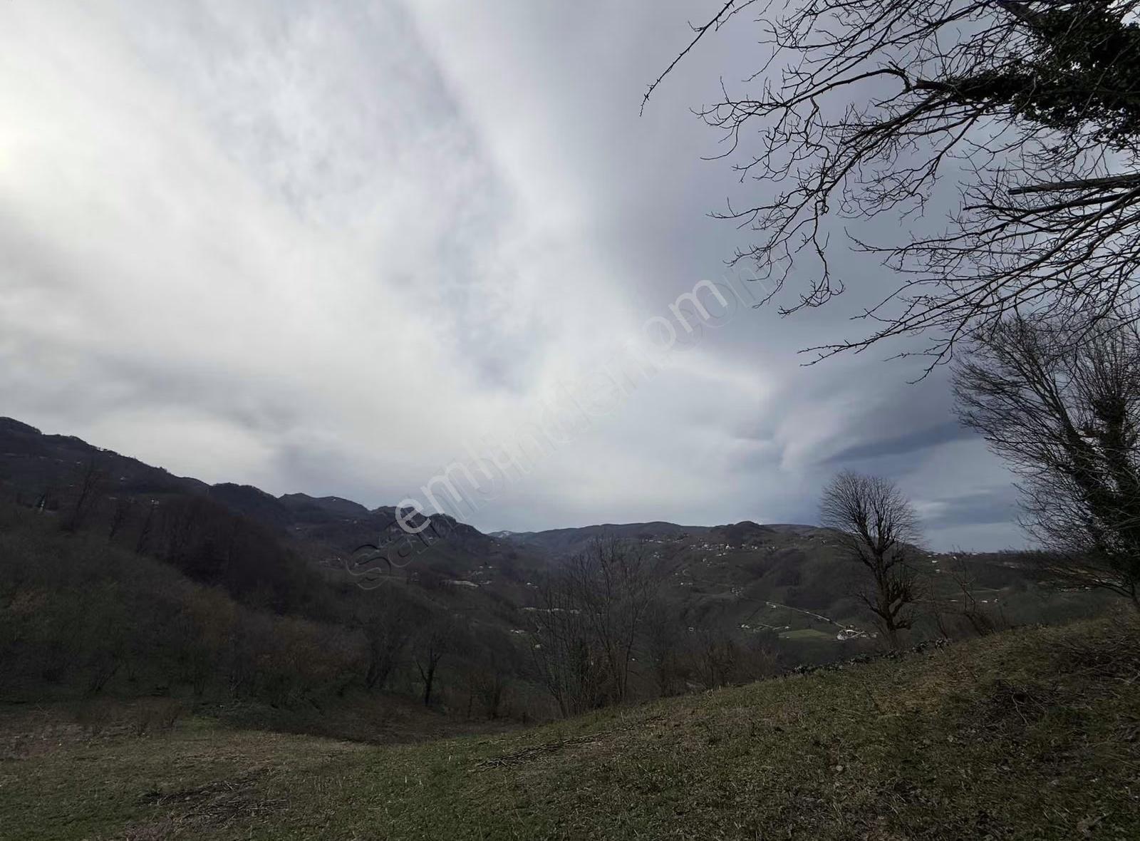 3690 M2 İmarlı Fırsat Arsa - Görsel 4