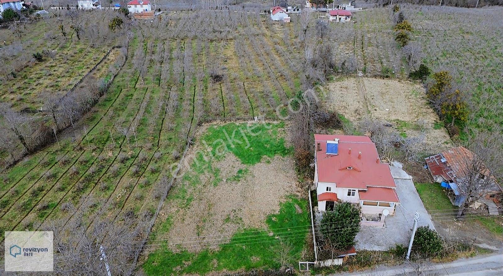Revizyon'dan Çınarsuyu Mevki 2 Dönüm Arsa--yatırım Tavsiyesidir - Görsel 13