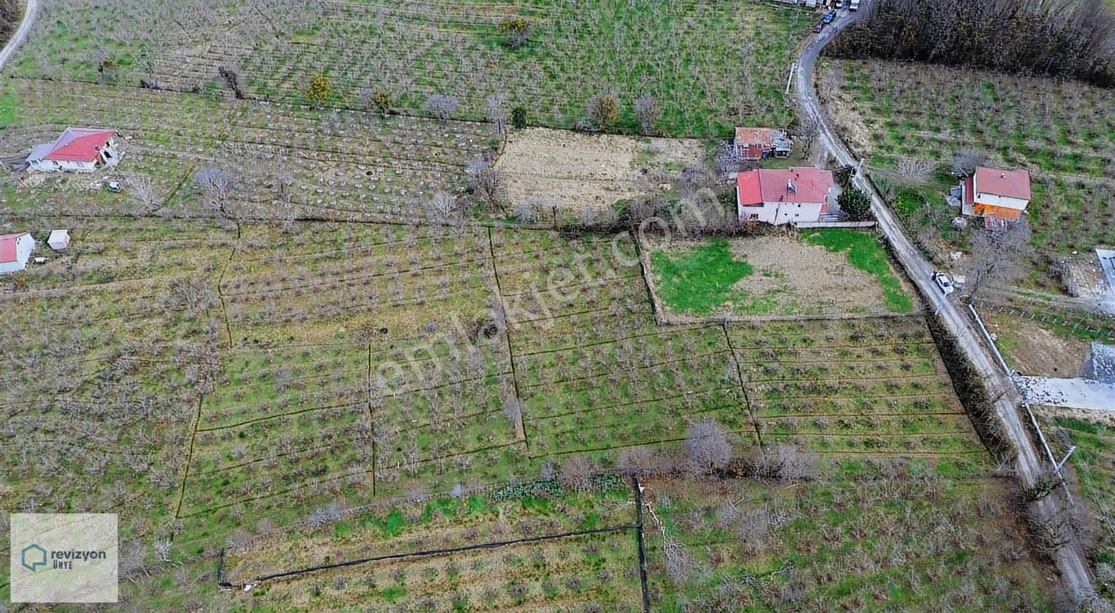 Revizyon'dan Çınarsuyu Mevki 2 Dönüm Arsa--yatırım Tavsiyesidir - Görsel 7