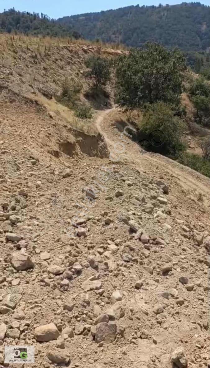 Özbay Gayrimenkulden Evrenli Mahallesinde Satılık Tarla