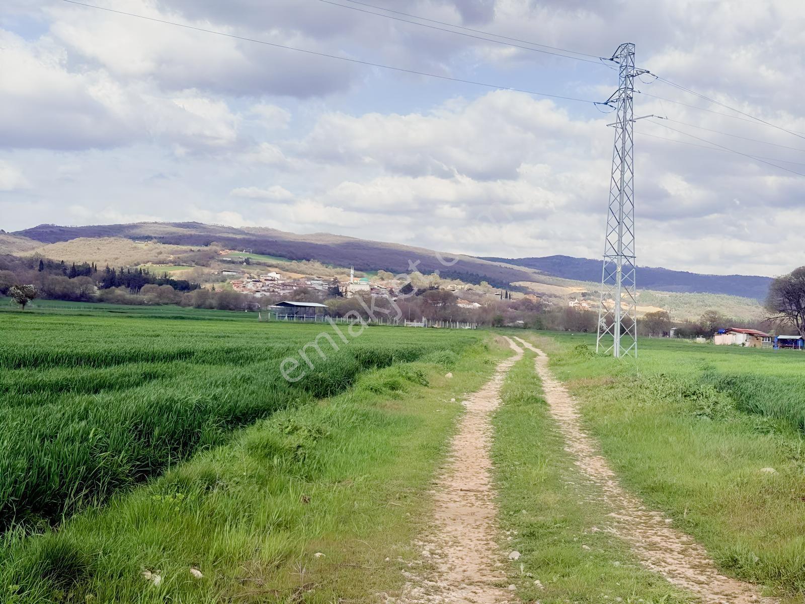 Acıl İnegöl Süpürtü'de Yola Cephe 2313 M Satılık Tarla
