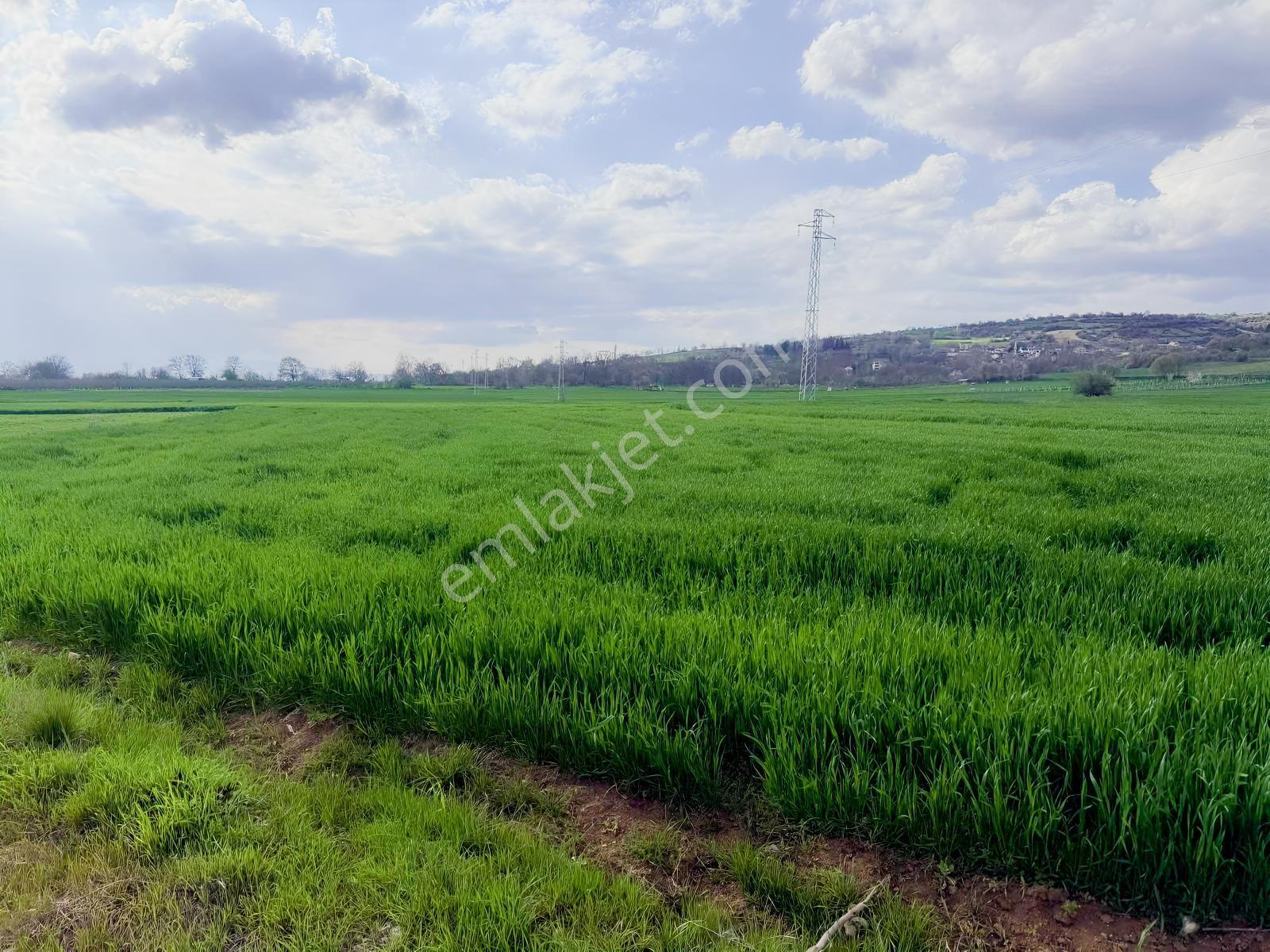 Acıl İnegöl Süpürtü'de Yola Cephe 2313 M Satılık Tarla - Görsel 13
