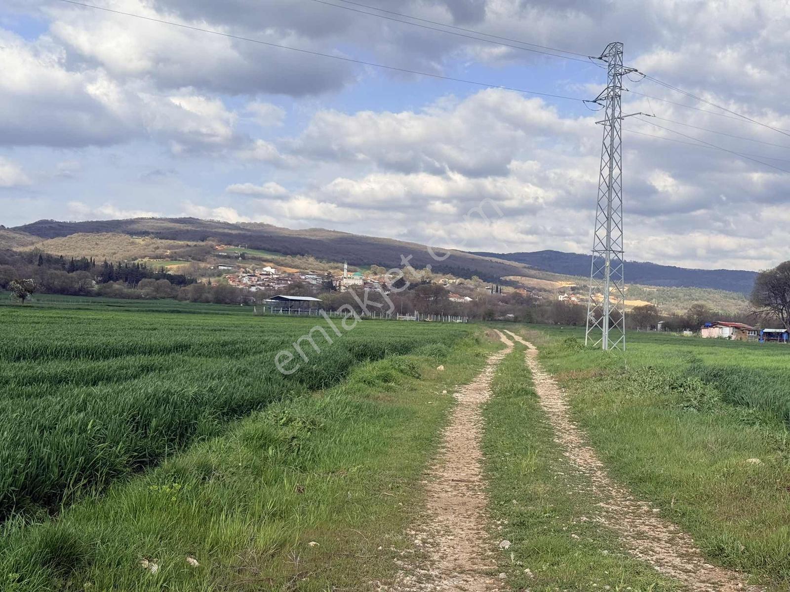 Acıl İnegöl Süpürtü'de Yola Cephe 2313 M Satılık Tarla - Görsel 2