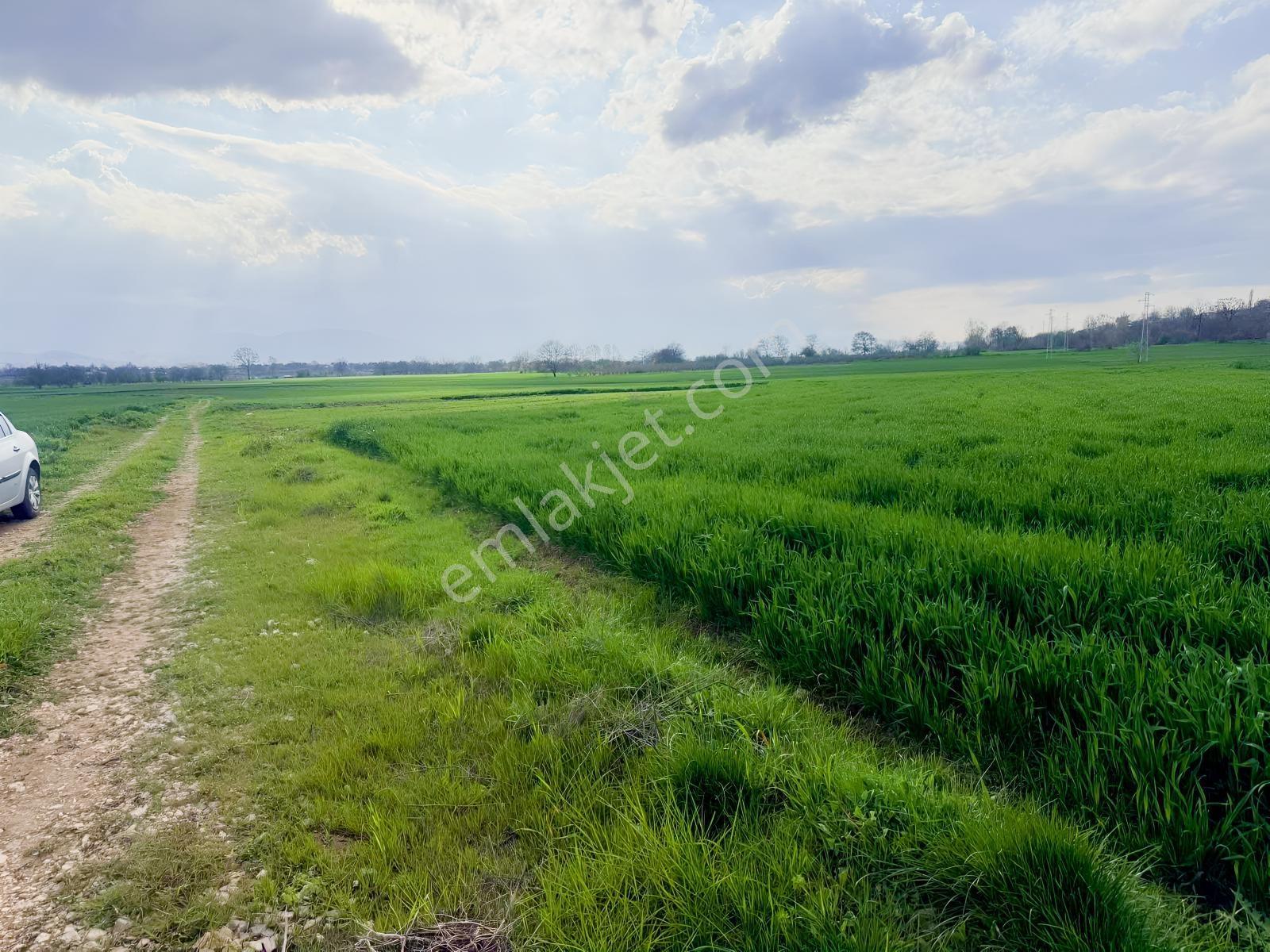 Acıl İnegöl Süpürtü'de Yola Cephe 2313 M Satılık Tarla - Görsel 8