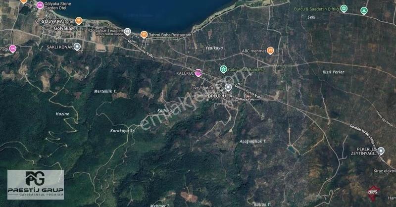 Prestij Gruptan Orhangazi Sölöz De Satılık 11.375 M2 Zeytinlik - Görsel 4