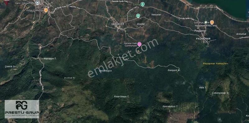 Prestij Gruptan Orhangazi Sölöz De Satılık 11.375 M2 Zeytinlik - Görsel 5