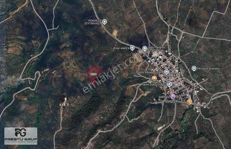 Prestij Gruptan Orhangazi Sölöz De Satılık 11.375 M2 Zeytinlik - Görsel 9