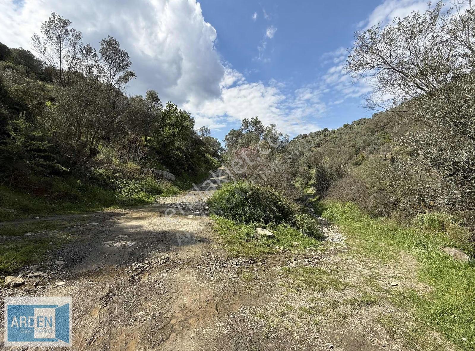 İzmir, S.hisar Ulamış'ta,13.000 M², 400 Ağaçlı,35 Mt Yol Cepheli - Görsel 12