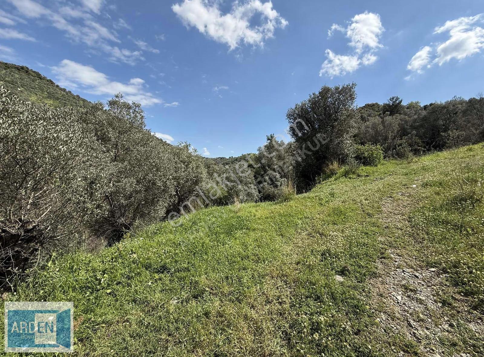 İzmir, S.hisar Ulamış'ta,13.000 M², 400 Ağaçlı,35 Mt Yol Cepheli - Görsel 8
